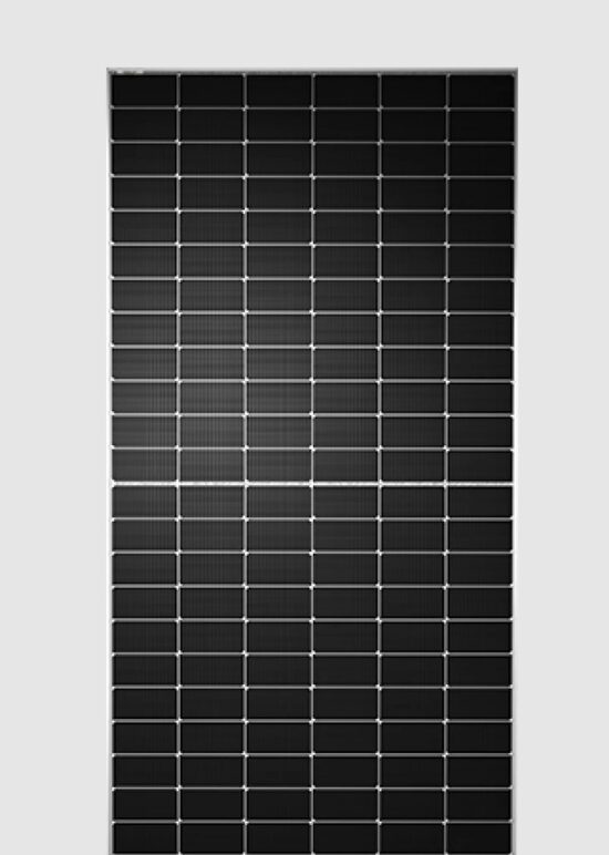 Tongwei Solar 585Wp N-type SF BiF solar panel